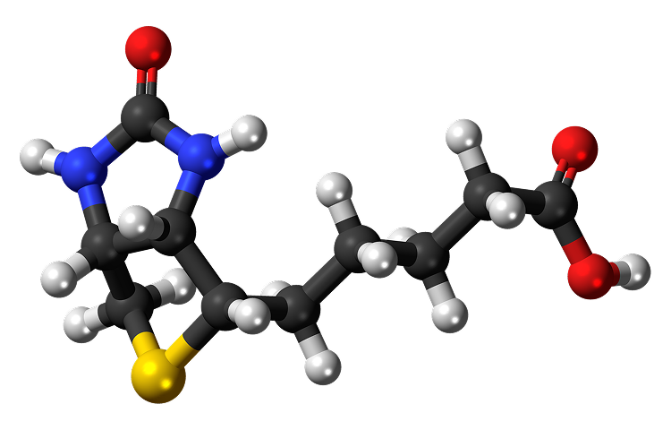 Biotin