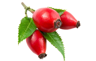 Rose Hip