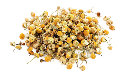 Egyptian Chamomile