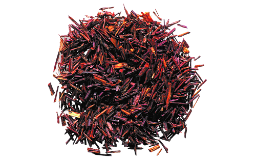 Rooibos